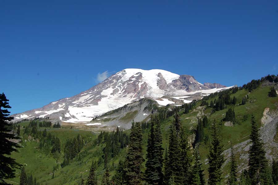 Mazama Ridge HIke - Mount Rainier