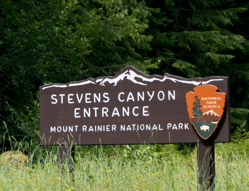 Stevens Canyon Road reopens after $43 million facelift